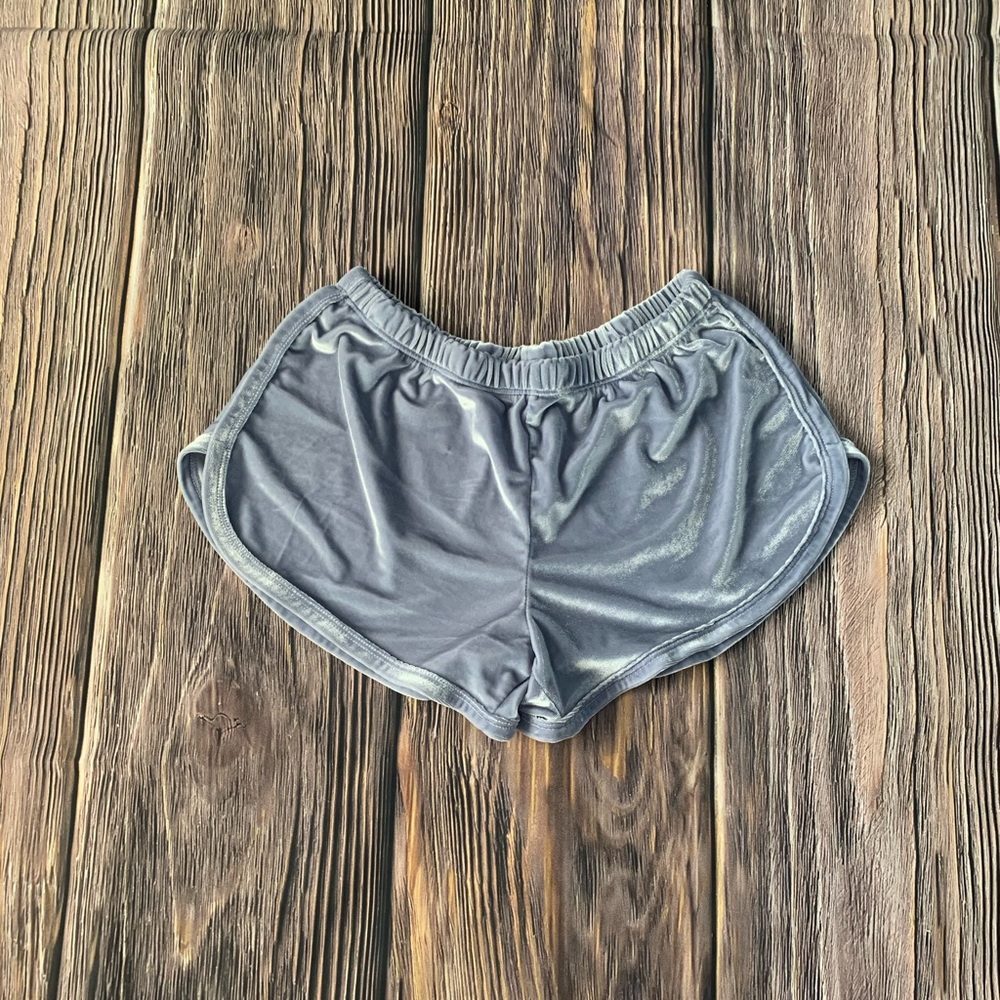 Brandy Melville/ John Galt Velvet Blue Shorts